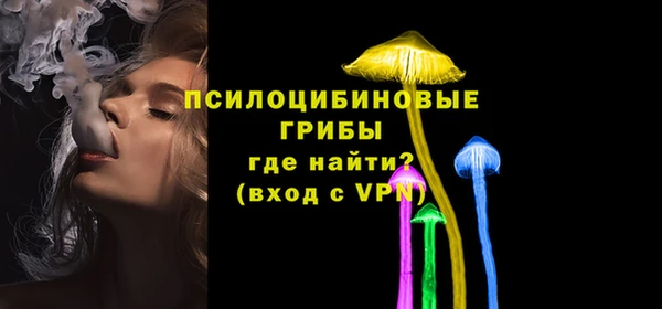 тгк Магадан