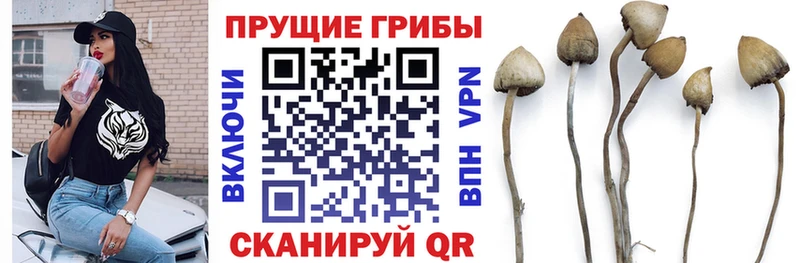 Галлюциногенные грибы MAGIC MUSHROOMS  Купить где  Малоярославец 